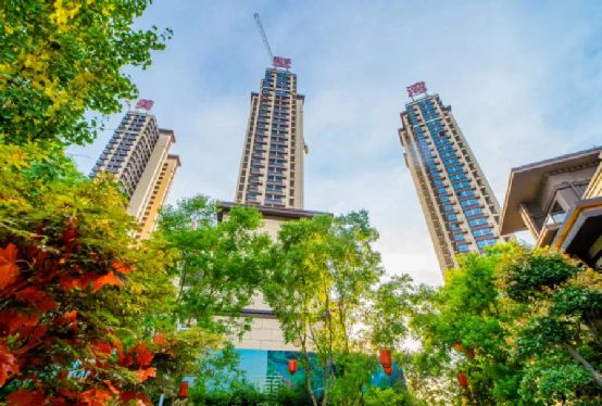 金钟集团荣膺“中国房地产开发企业综合实力TOP500”殊荣，彰显行业领先地位